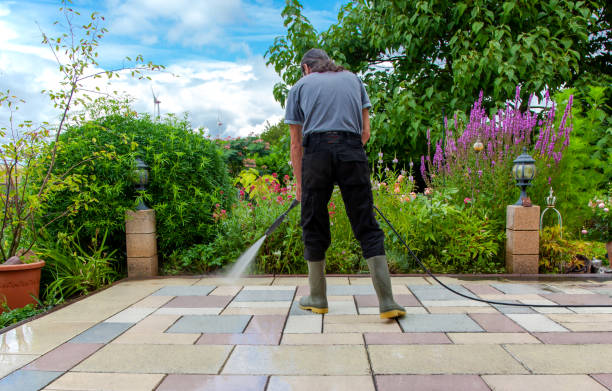 Professional  Pressure Washing Services in Friars Point, MS